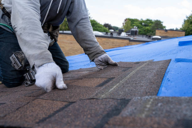 Best Roof Gutter Cleaning  in Weatherford, OK